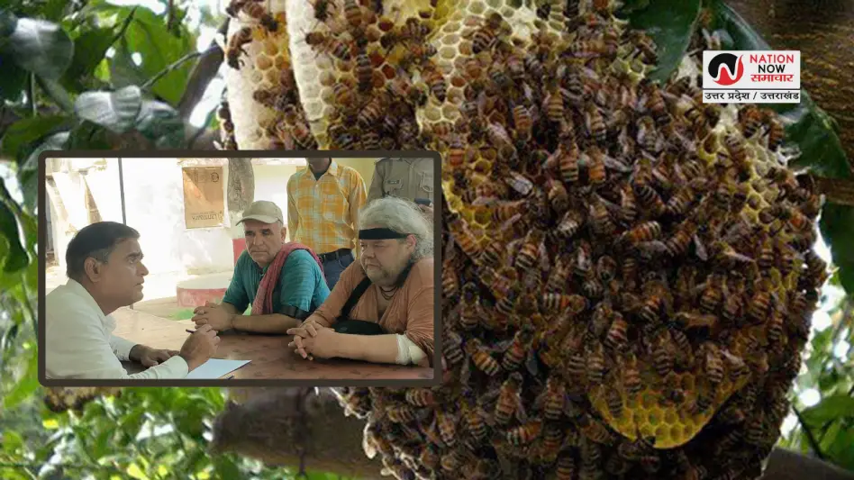Etawah school Bee Attack