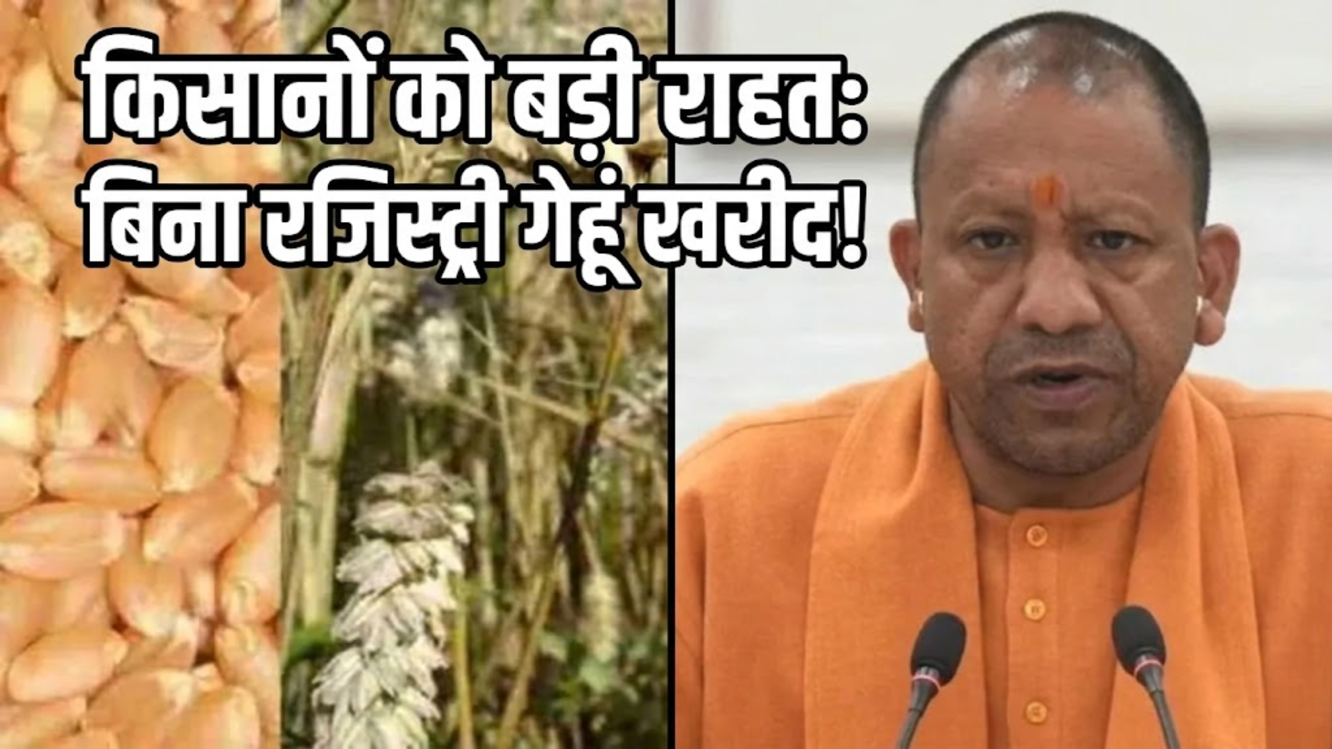 UPFarmers: मुख्यमंत्री ने गेहूं खरीद में किसानों को दी बड़ी राहत,फार्मर रजिस्ट्री के बिना भी सरकारी क्रय केंद्र पर गेहूं बेच सकेंगे किसान